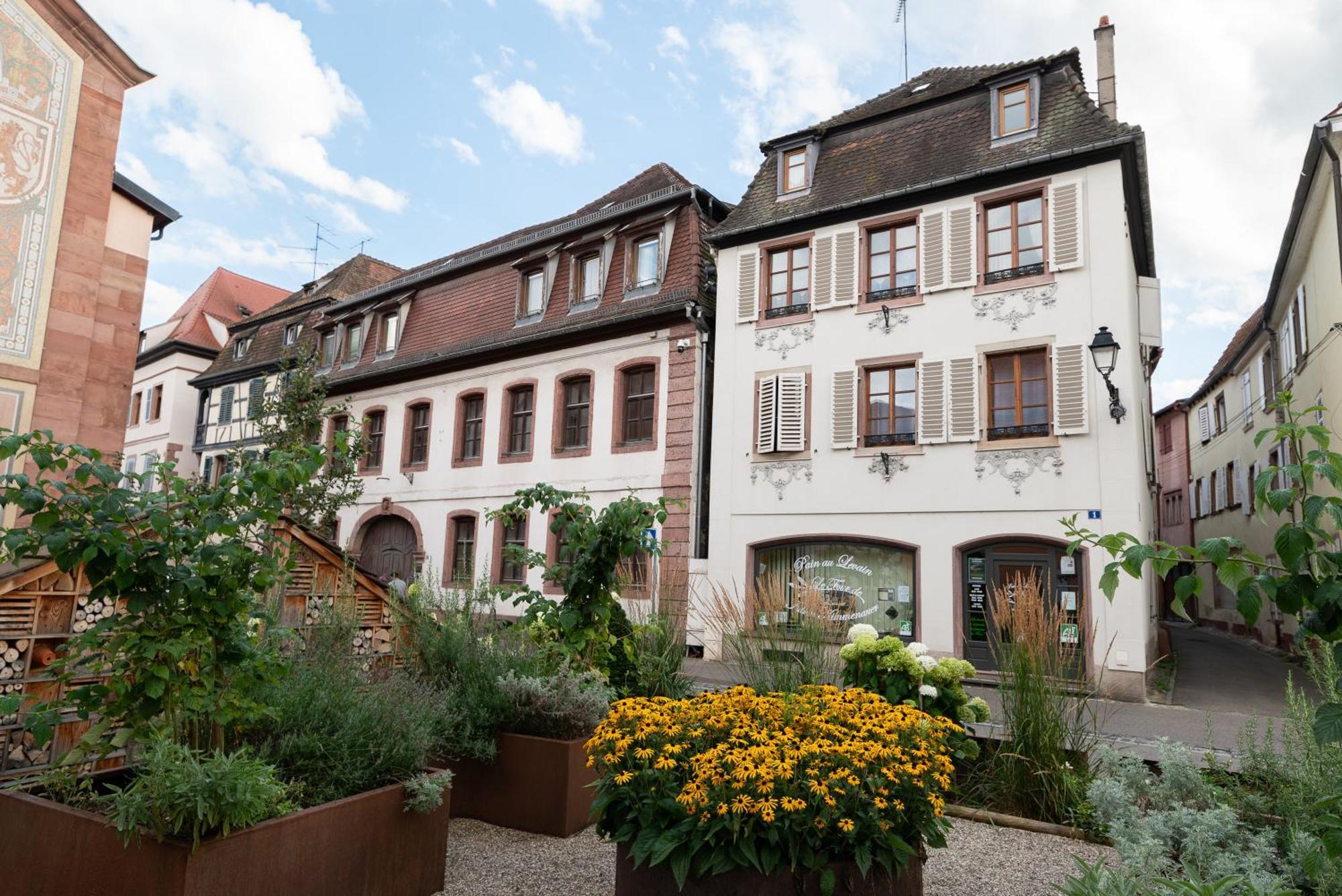 Le Repaire Du Chanceux ซิลิสตาต์ ภายนอก รูปภาพ